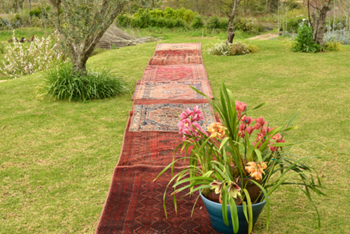 001 Carpet Runner Red